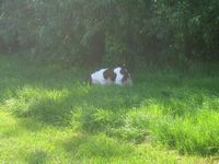 click for a larger view